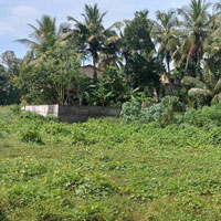  Residential Plot for Sale in Kozhinjampara, Palakkad