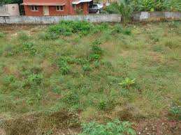  Commercial Land for Sale in Chittoor, Palakkad