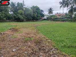  Residential Plot for Sale in Velanthavalam, Palakkad