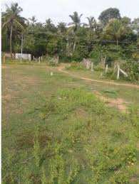  Residential Plot for Sale in Nallepilly, Palakkad