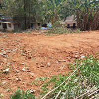  Residential Plot for Sale in Velanthavalam, Palakkad