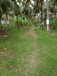  Agricultural Land for Sale in Kizhakkancherry, Palakkad