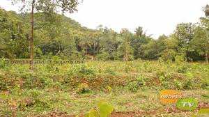 Residential Plot for Sale in Erattayal, Palakkad