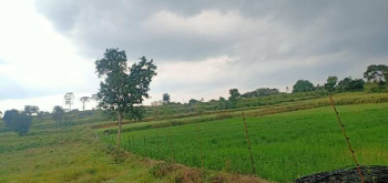  Agricultural Land for Sale in Nandi Hills, Bangalore
