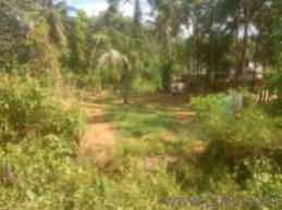  Residential Plot for Sale in Alathur, Palakkad
