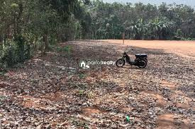  Residential Plot for Sale in Kongad, Palakkad