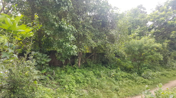  Residential Plot for Sale in Mattumanda, Palakkad