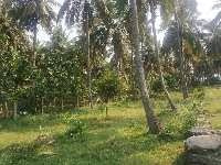  Residential Plot for Sale in Mangalam Dam, Palakkad