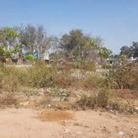  Agricultural Land for Sale in Kannanur, Palakkad