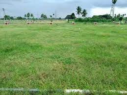  Agricultural Land for Sale in Chittoor, Palakkad