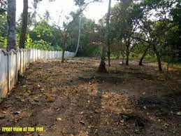  Residential Plot for Sale in Kunissery, Palakkad