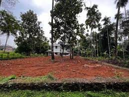  Residential Plot for Sale in Kunathurmedu, Palakkad