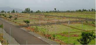  Agricultural Land for Sale in Doddaballapur, Bangalore