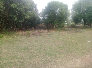  Industrial Land for Sale in Puthur, Palakkad