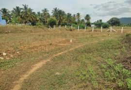  Agricultural Land for Sale in Vadanappally, Thrissur