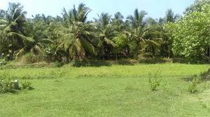  Residential Plot for Sale in Kozhinjampara, Palakkad