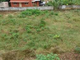  Commercial Land for Sale in Kozhinjampara, Palakkad