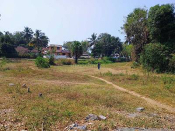  Residential Plot for Sale in Koduvayur, Palakkad