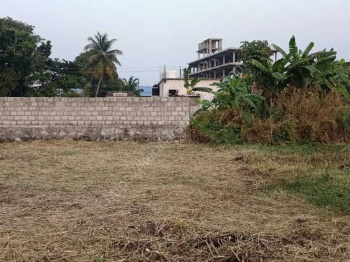  Residential Plot for Sale in Kalepully, Palakkad