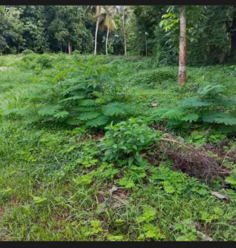  Residential Plot for Sale in Vadakkencherry, Palakkad