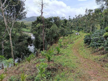  Residential Plot for Sale in Sakleshpur, Hassan