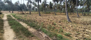  Residential Plot for Sale in Banaswadi, Bangalore