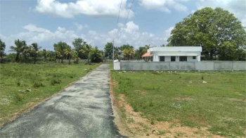  Residential Plot for Sale in Thookkupalam, Idukki