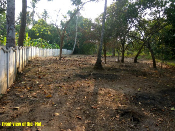  Residential Plot for Sale in Malampuzha, Palakkad