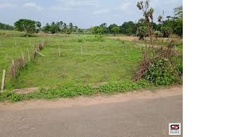  Residential Plot for Sale in Nellaya, Palakkad