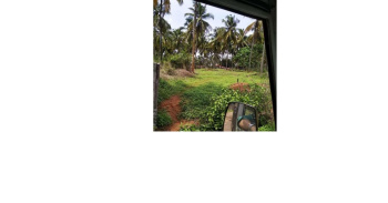 Residential Plot for Sale in Sultanpet, Palakkad