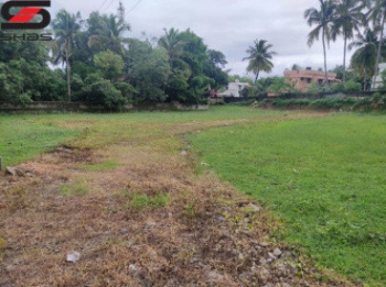  Residential Plot for Sale in Puthur, Palakkad