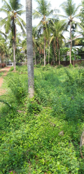  Commercial Shop for Sale in Kunathurmedu, Palakkad