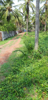  Residential Plot for Sale in Vadakkencherry, Palakkad