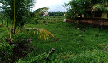  Residential Plot for Sale in Kollengode, Palakkad