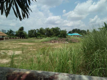 Residential Plot for Sale in Ottapalam, Palakkad