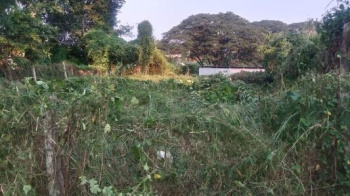  Residential Plot for Sale in Olavakkode, Palakkad