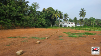  Residential Plot for Sale in Sultanpet, Palakkad