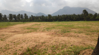  Commercial Land for Sale in Puthur, Palakkad