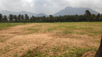  Commercial Land for Sale in Kunathurmedu, Palakkad