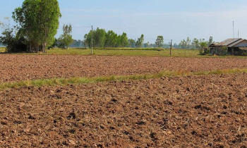  Agricultural Land for Sale in Nemmara, Palakkad