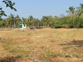  Residential Plot for Sale in Thenkurissi, Palakkad