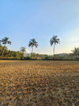  Residential Plot for Sale in Pattambi, Palakkad
