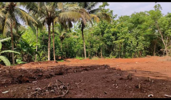  Residential Plot for Sale in Mannarkkad, Palakkad