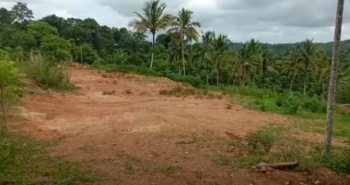  Residential Plot for Sale in Kannadi, Palakkad