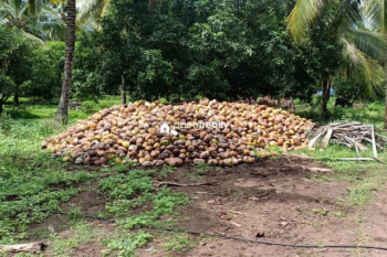  Commercial Land for Sale in Kasturi Nagar, Bangalore