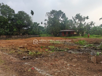  Residential Plot for Sale in Shoranur, Palakkad