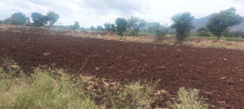  Agricultural Land for Sale in Kalpathy, Palakkad