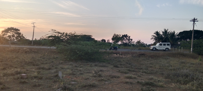 Agricultural Land 1 Acre for Sale in Palamedu, Madurai