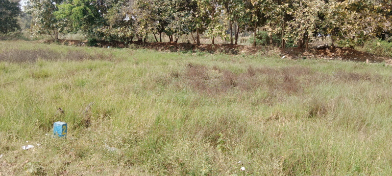 Commercial Land 35 Cent for Sale in Vadapalanji Village, Madurai