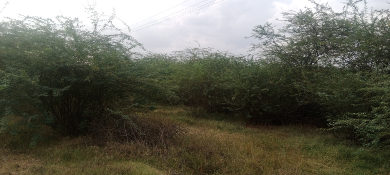 Agricultural Land 2 Acre for Sale in Nilakkottai, Dindigul
